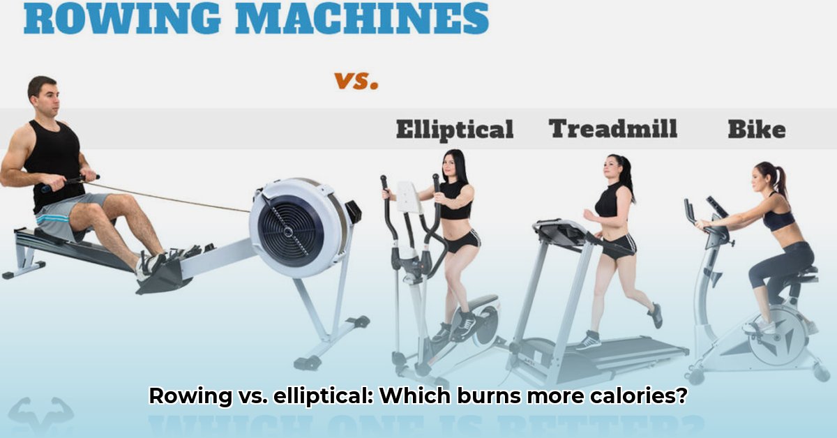 rowing-machine-or-elliptical-for-weight-loss